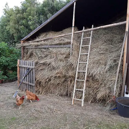 Vakantieboerderij Pustelnia Weganska - Agroturystyka I Naturoterapia
